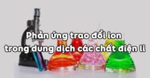 phan-ung-trao-doi-ion-trong-dung-dich-cac-chat-dien-li