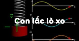 Bài 2 Con lắc lò xo