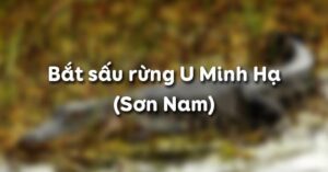 Bắt sấu rừng U Minh Hạ (Sơn Nam)