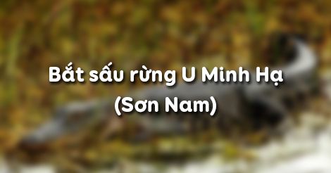 Soạn văn 12, Soạn văn 12, Bắt sấu rừng U Minh Hạ (Sơn Nam)