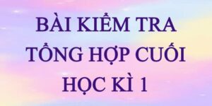 Soạn bài Kiểm tra tổng hợp học kì 1