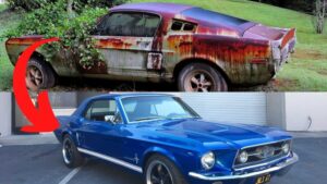 1967 Restomod Mustang