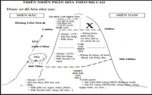 Sự phân hóa thiên nhiên theo chiều Bắc Nam